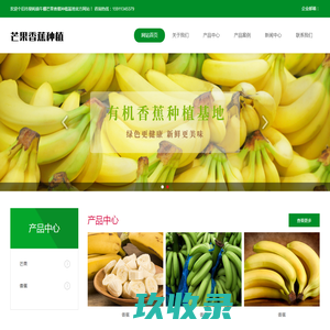 网站截图