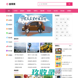 好物推荐，达人探店-拔草网