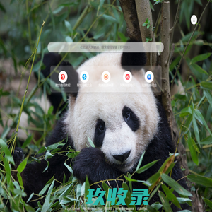聚合搜索，搜索更快