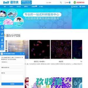 德尔夫生物实验室_分子实验_细胞实验_动物造模丨合肥德尔夫生物科技有限公司