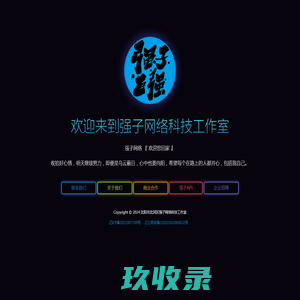 沈阳市沈河区强子网络科技工作室-十二年老品牌互联网公司