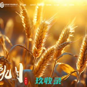 深圳国丹健康医疗控股有限公司