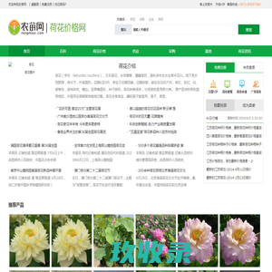 大向网络 - 因专业而崛起,做互联网行业开拓者！
