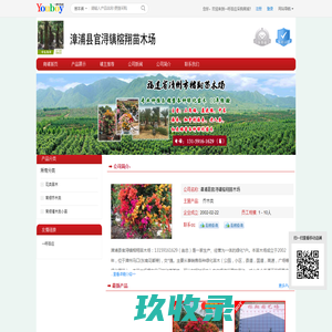 【漳浦县官浔镇榕翔苗木场】 主营：乔木类/_漳浦县官浔镇榕翔苗木场