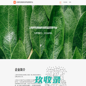 上海仲托网络科技药品管理平台