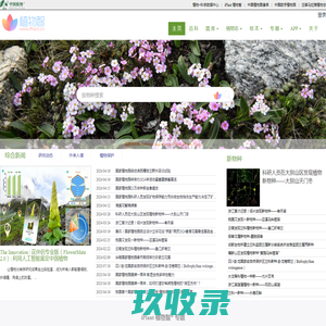 哈尔滨瑞景冰雪文化艺术发展有限公司