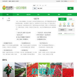 网站截图
