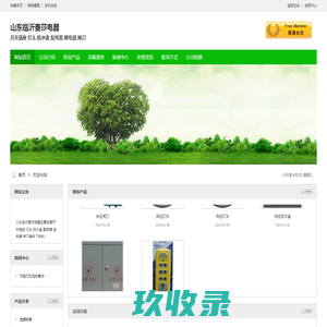 山东临沂麦莎电器