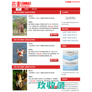 网站截图