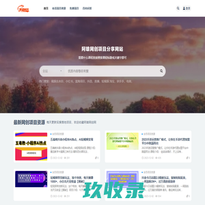 网创项目平台_互联网创业项目资源整合网站-阿雄网创