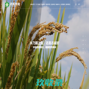 蟹田大米_长粒香大米_盐丰大米-营口志诚米业有限公司