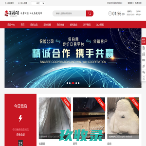 网站截图