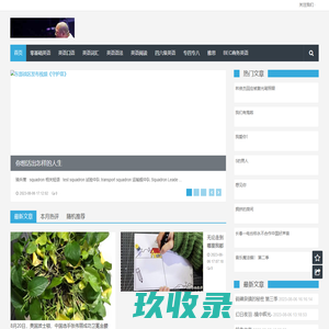 传奇盛世游戏关服公告 - 哥们网