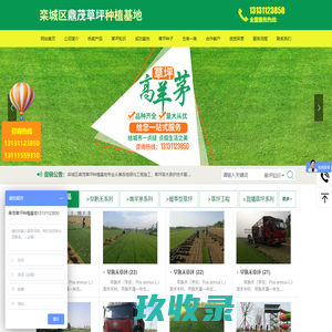 河北草坪_北京草坪_山东草坪_栾城草坪_河南草坪_早熟禾草坪_高羊茅草坪_混播草坪-鼎茂草坪种植基地