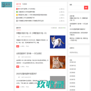 网站截图