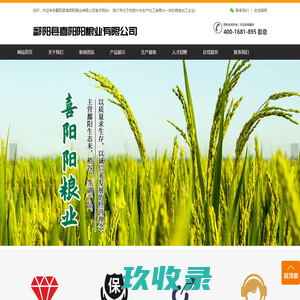 网站截图