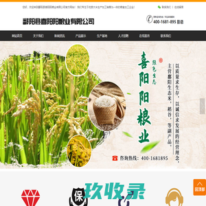 网站截图