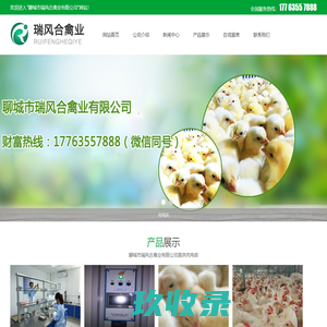 817肉鸡苗行情 - 聊城市瑞风合禽业有限公司