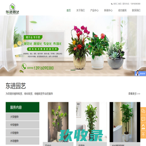 上海植物租赁/租摆_绿化租赁价格_室内绿化租赁_盆栽植物租赁_上海花卉出租_上海东进园艺有限公司
