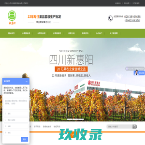 四川新惠阳_水果套膜批发_果袋价格_苹果膜袋套袋_果袋厂家_水果纸套袋_水果保鲜袋 _芒果套袋_苹果新惠瑞果袋