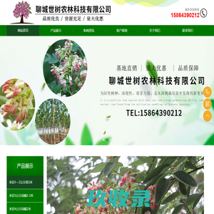 聊红槐基地-聊城世树农林科技有限公司【官网】