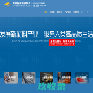 网站截图