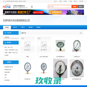 天津市新大华仪表有限责任公司