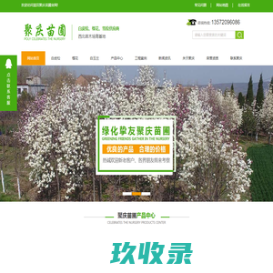 陕西白皮松种植_陕西苗木培育_陕西樱花基地_陕西玉兰批发
