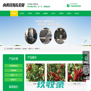 内黄辣椒,内黄新一代,内黄辣椒批发,内黄辣椒基地-内黄县海涛尖椒种植专业合作社