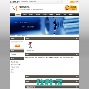 网站截图
