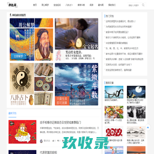  - 新疆金丝玉网