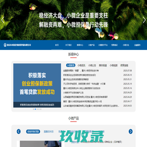 重庆小微企业融资担保公司