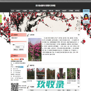 网站截图