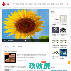 上海装潢公司_浦东家装_别墅装修公司_室内环保装饰-志焰装修公司