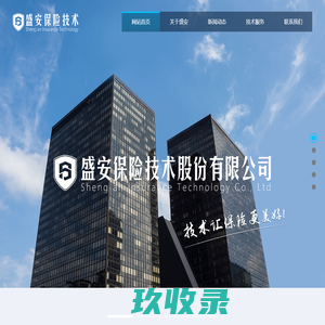 盛安保险技术股份有限公司-中国首家保险技术机构