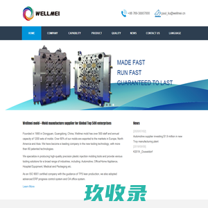 Wellmei mold--Automotive|Home Appliance|High precision|Medical&Health Care|Closures