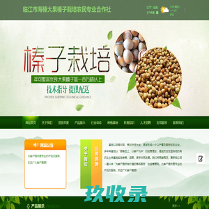 临江市海榛大果榛子栽培农民专业合作社