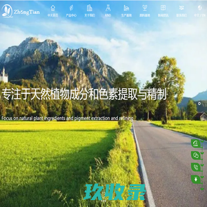 网站截图