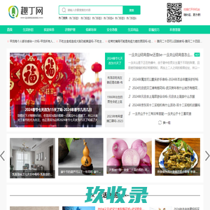  - 新疆金丝玉网