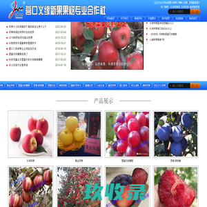 乐淇苹果苗_乐淇苹果_爱琳娜西梅-营口义缘新果果树专业合作社