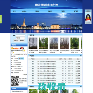 郯城县华轩银杏苗木培育中心 - 主营银杏.美国红枫.国槐.法桐.娜塔栎.榉树
