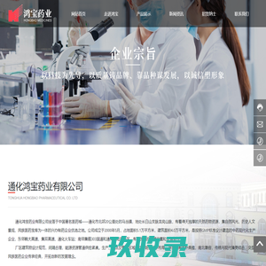 鸿宝药业有限公司