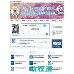 网站截图