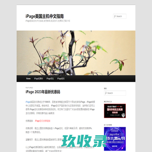iPage美国主机中文指南 - iPage中文介绍,使用,购买,优惠码,资讯