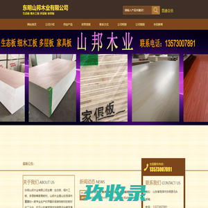 网站截图