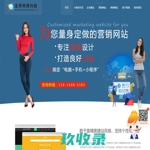 惠州网站建设-惠州网站开发-小程序商城定制-龙帝网络公司