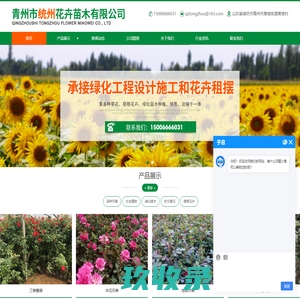 青州市统州花卉苗木有限公司-宿根花卉和时令草花