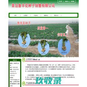 天涯凝望--爱在这儿