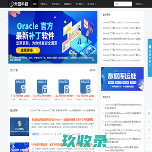 Oracle补丁下载 | patch补丁升级安装 | 绿盟等保CVE漏洞修复 | 数据库安全运维服务-广州天凯科技 - 广州天凯科技