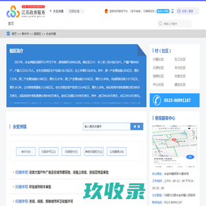 永安洲镇政务服务网